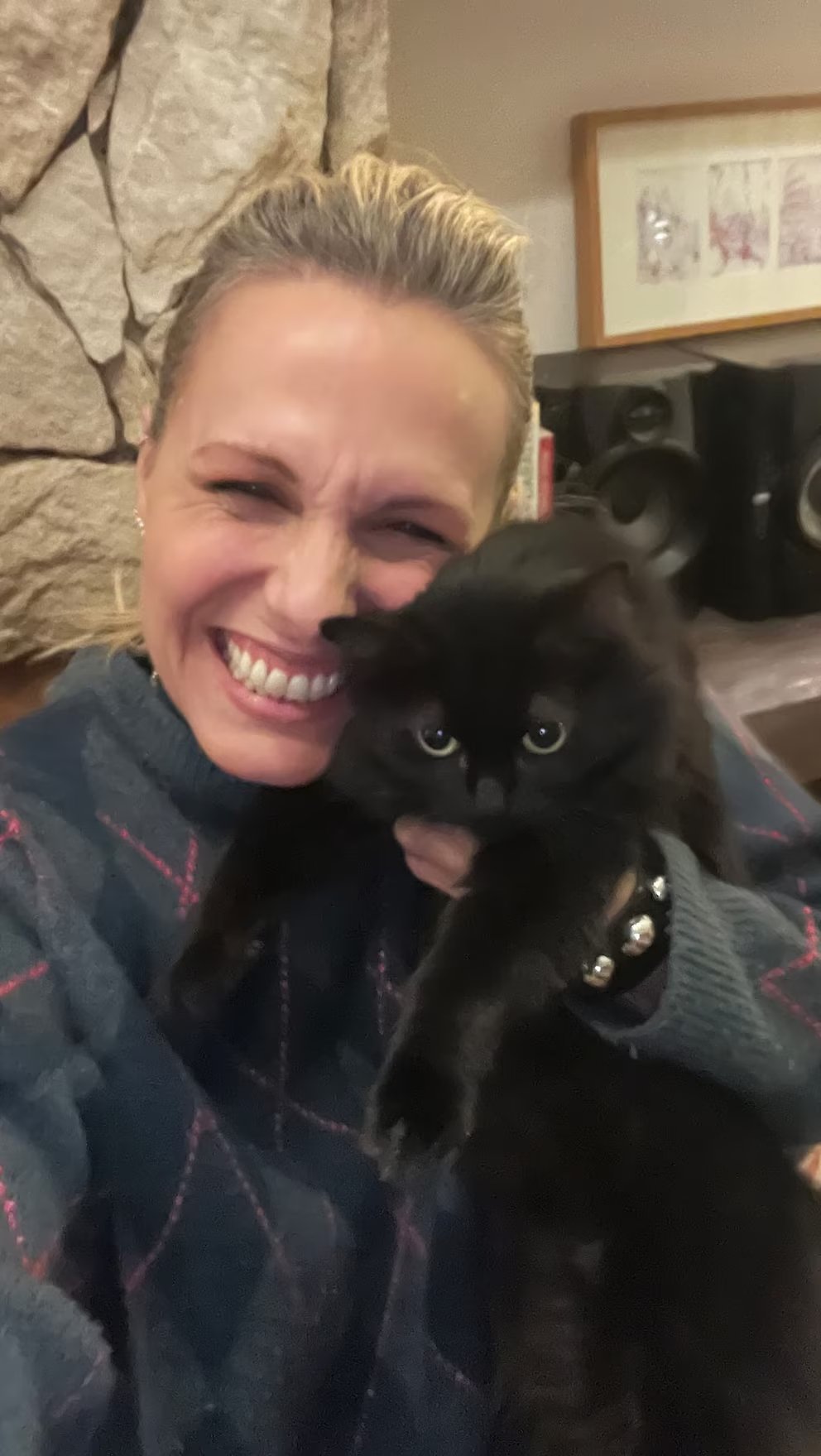 La historia de Mina como gata rescatada profundiRedes Sociales de  Denise Dumas durante su desaparición