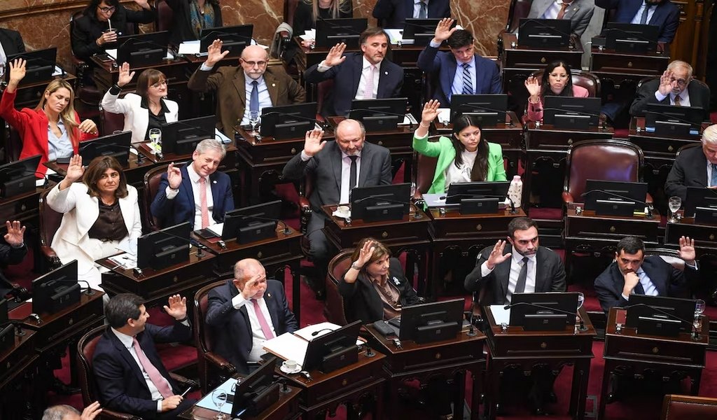 SENADO ARGENTINA. Charly Diaz Azcue