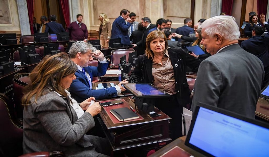 SENADO ARGENTINA. Charly Diaz Azcue