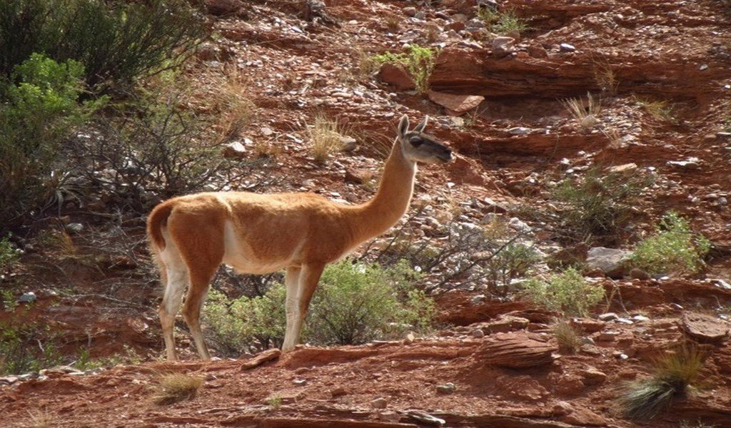 Parque Nacional Sierra de las Quijadas
